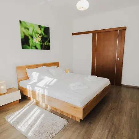 Casa Nicolae Luxury 4* Sibiu