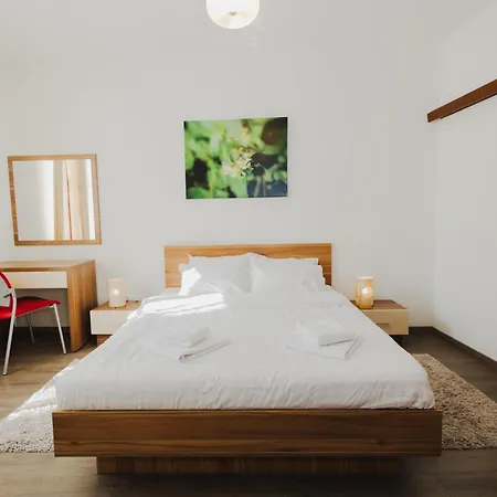 Casa Nicolae Luxury