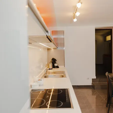 Casa Nicolae Luxury 4*
